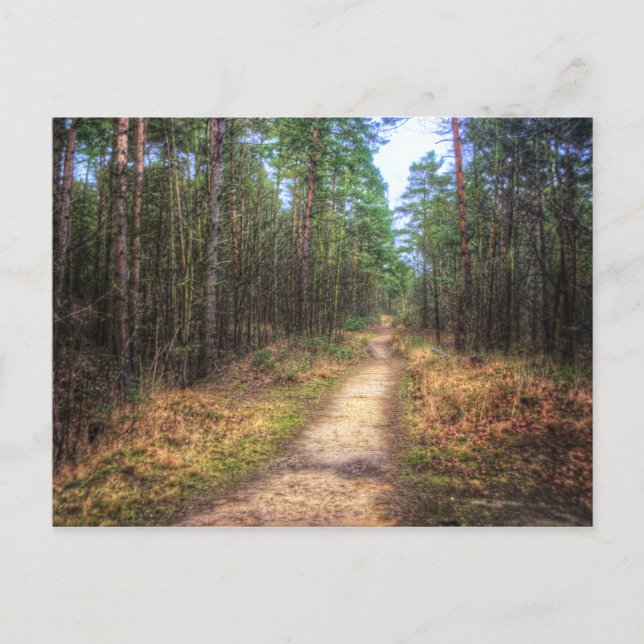 Postal Postcard de Forest Path HDR Art (Anverso)