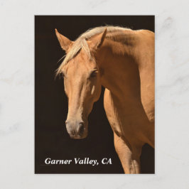 Postal Postcard de Garner Valley