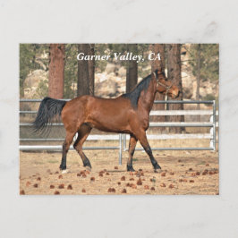 Postal Postcard de Garner Valley