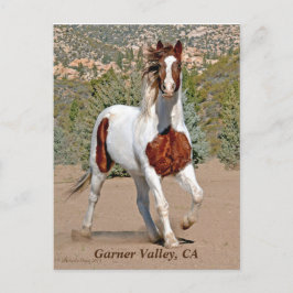 Postal Postcard de Garner Valley