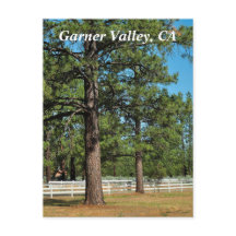 Postcard de Garner Valley