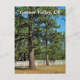 Postal Postcard de Garner Valley