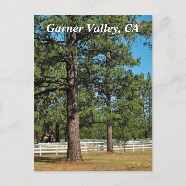 Postal Postcard de Garner Valley (Anverso)