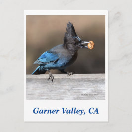 Postal Postcard de Garner Valley