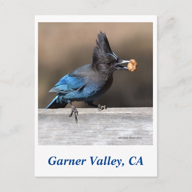 Postal Postcard de Garner Valley (Anverso)