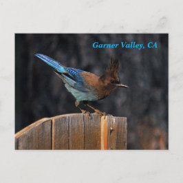 Postal Postcard de Garner Valley