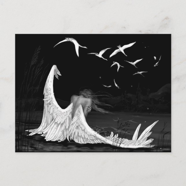 Postal Postcard de gaviota (Anverso)