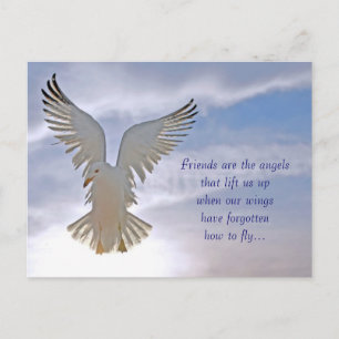 Postal Postcard de gaviota