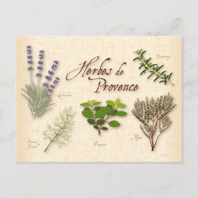 Postal Postcard de Herbes de Provence (Anverso)