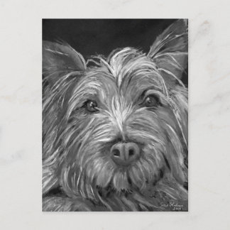 Postal Postcard de Highland Terrier