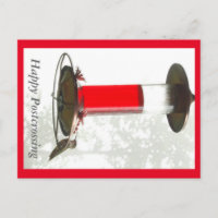 Postcard de Hummingbird