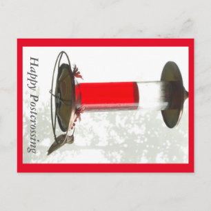 Postal Postcard de Hummingbird