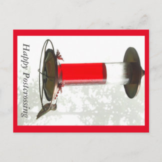 Postal Postcard de Hummingbird