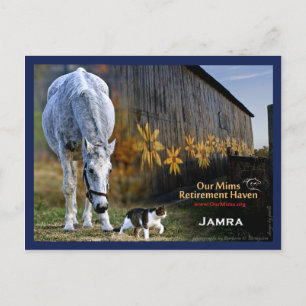 Postal Postcard de Jamra