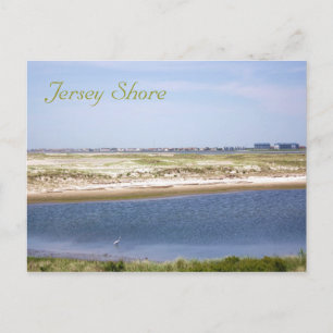 Postal Postcard de Jersey Shore Point