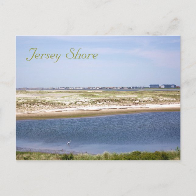 Postal Postcard de Jersey Shore Point (Anverso)