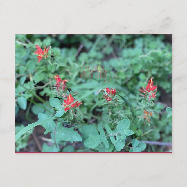 Postal Postcard de julio (Anverso)