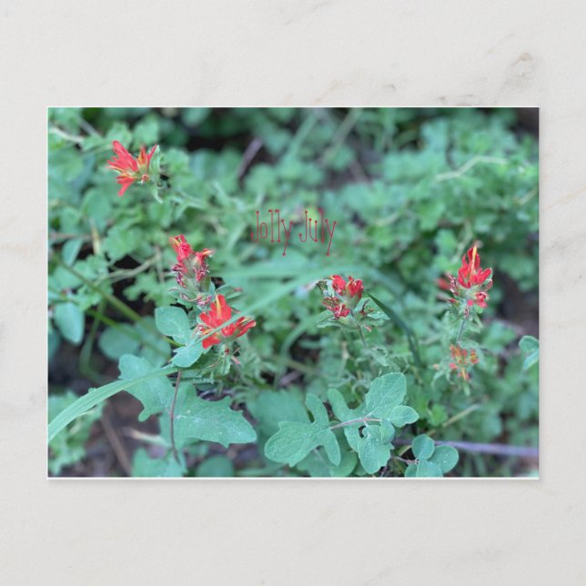 Postal Postcard de julio (Anverso)