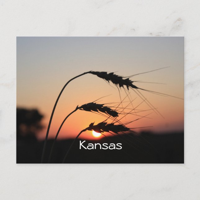 Postal Postcard de Kansas Sunset (Anverso)