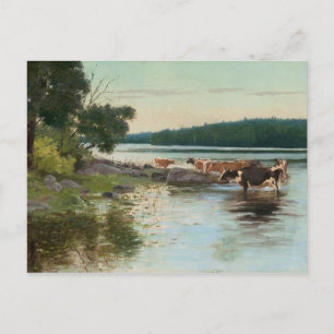 Postal Postcard de Keinänen sobre la vista del lago