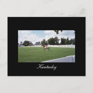 Postal Postcard de Kentucky