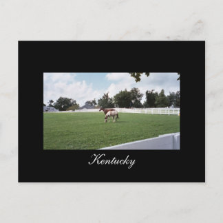 Postal Postcard de Kentucky