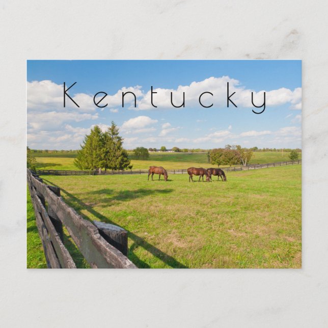Postal Postcard de Kentucky, caballos de la granja de cab (Anverso)