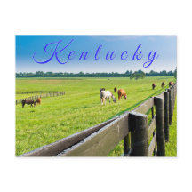 Postcard de Kentucky. Caballos en la granja de cab