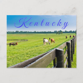 Postal Postcard de Kentucky. Caballos en la granja de cab