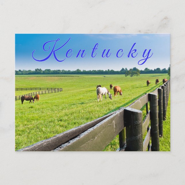 Postal Postcard de Kentucky. Caballos en la granja de cab (Anverso)