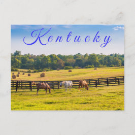 Postal Postcard de Kentucky. Caballos en la granja de cab