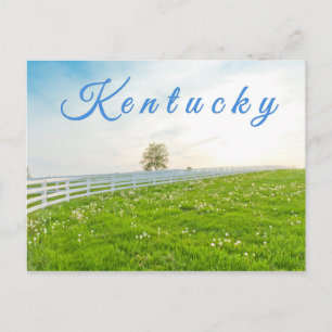 Postal Postcard de Kentucky. Paisaje rural en primavera