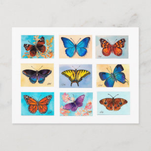 Postal Postcard de la bonanza de la mariposa