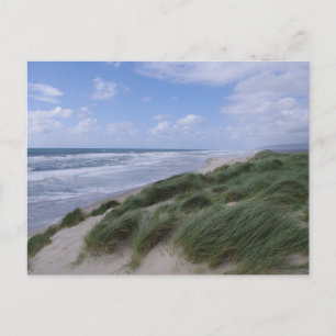 Postal Postcard de la Costa de Oregón
