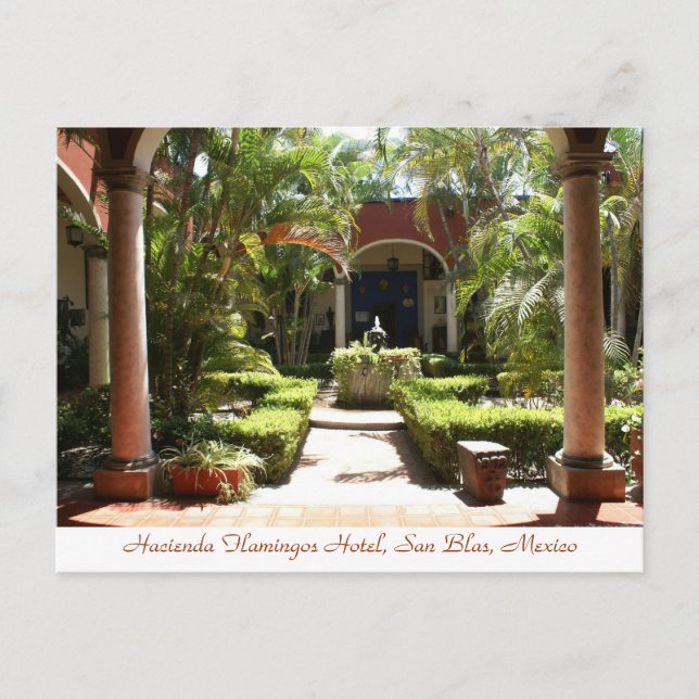 Postal Postcard de la Hacienda Flamingos San Blas México (Anverso)