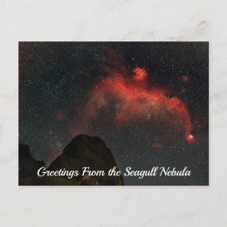 Postal Postcard de la nébula de gaviota