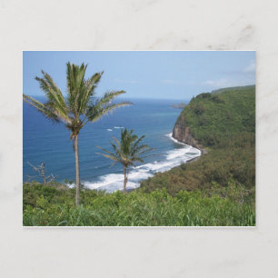 Postal Postcard de la vista al valle de Pololu