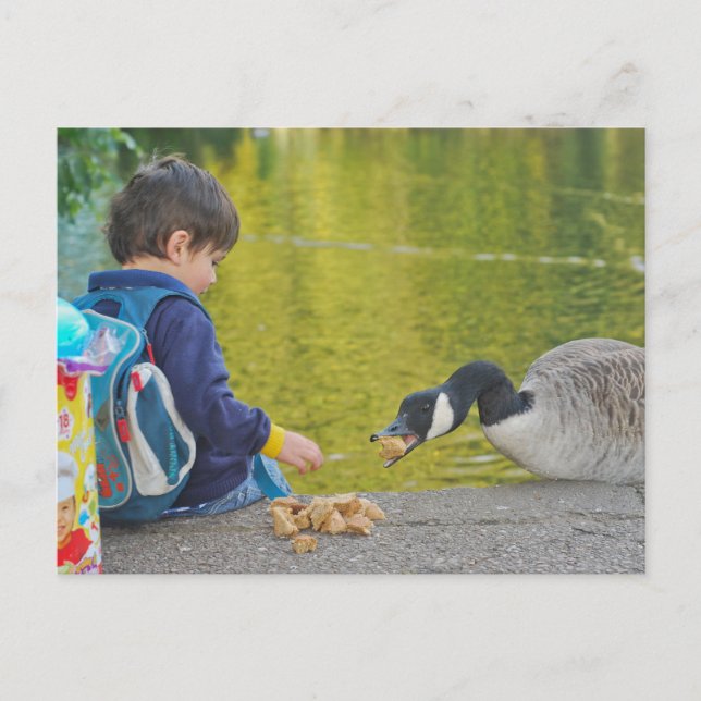 Postal Postcard de Lakeside (Anverso)