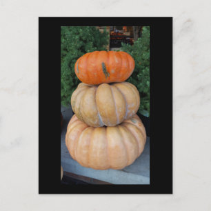 Postal Postcard de las calabazas de otoño
