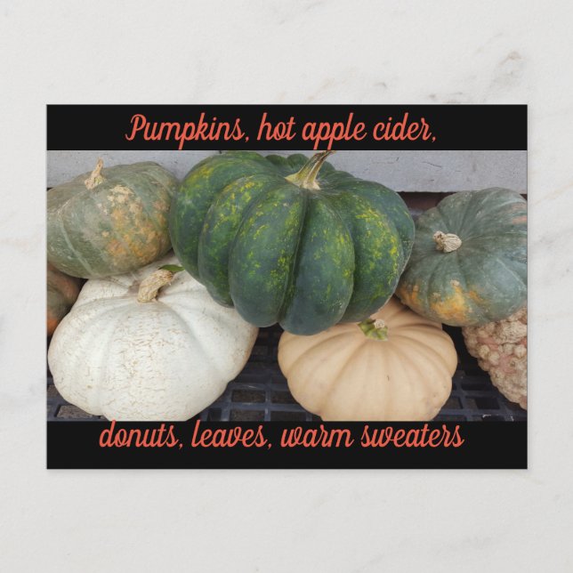 Postal Postcard de las calabazas de otoño (Anverso)