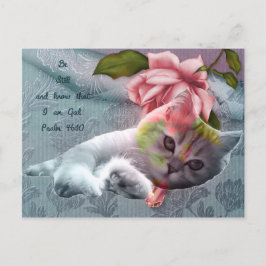 Postal Postcard de las escrituras de confort de gatos tra