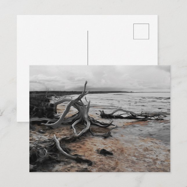 Postal Postcard de las fuerzas naturales del lago Tyrrell (Anverso / Reverso)