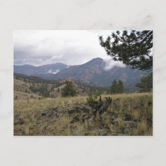 Postal Postcard de las Montañas Colorado