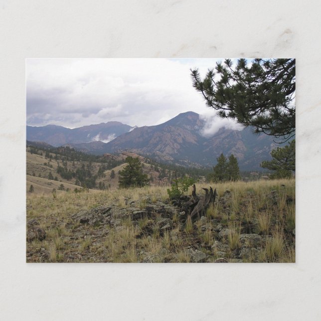 Postal Postcard de las Montañas Colorado (Anverso)