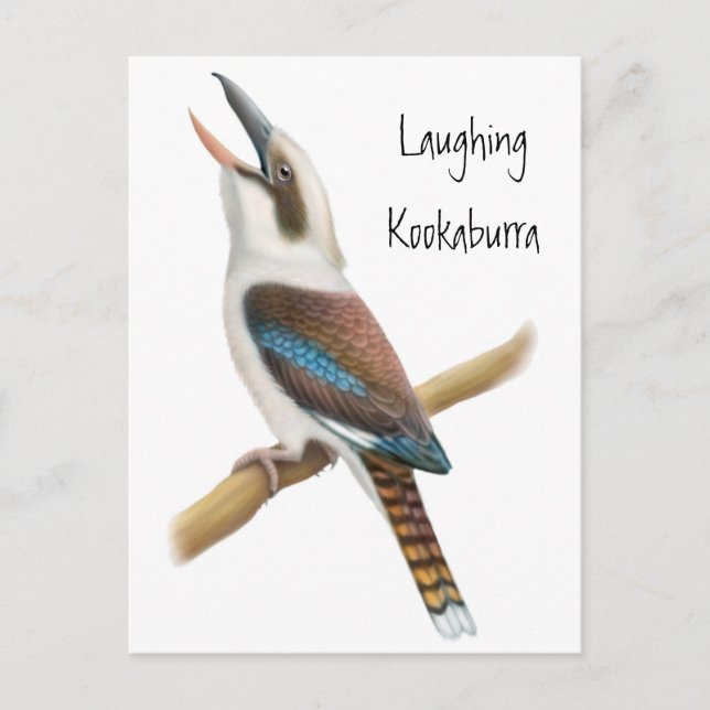 Postal Postcard de Laughing Kookaburra (Anverso)