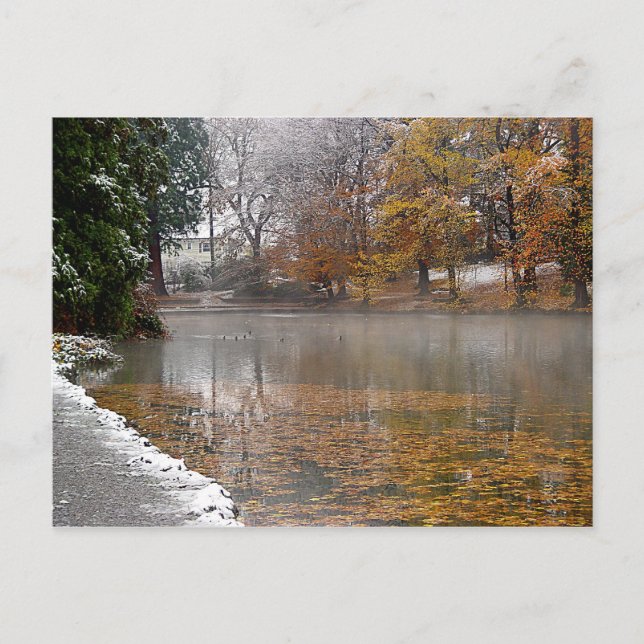 Postal Postcard de Laurelhurst Pond (Anverso)