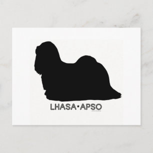Postal Postcard de Lhasa