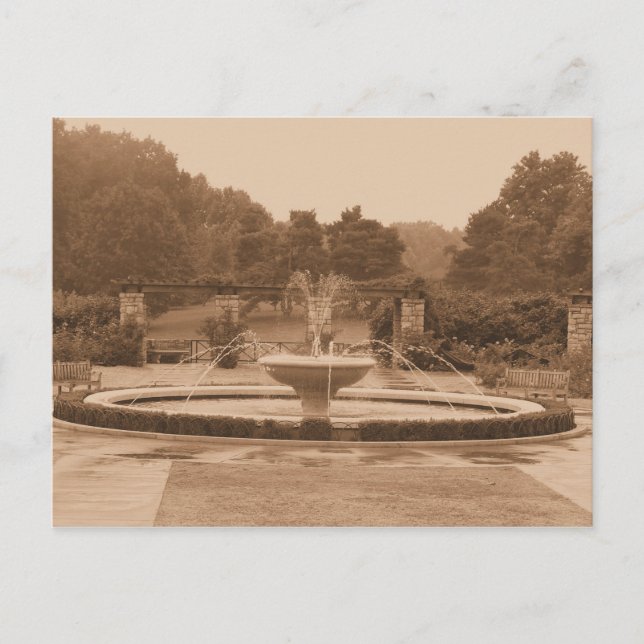 Postal Postcard de Loose Park (Anverso)