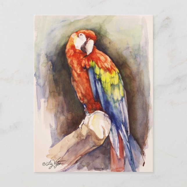 Postal Postcard de loro precioso (Anverso)