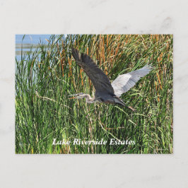 Postal Postcard de los parques de Lake Riverside